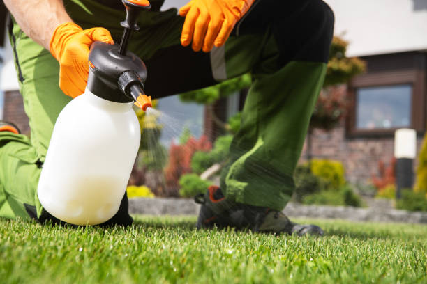 Best Pest Removal Services  in Ashland, WI