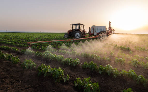 Insect Control in Ashland, WI