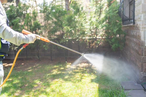 Best Affordable Pest Control Services  in Ashland, WI