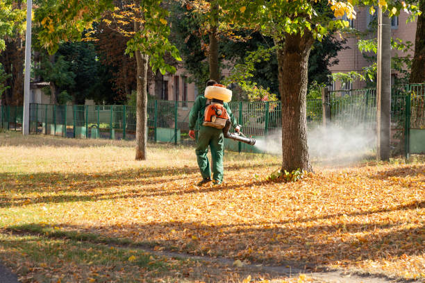 Best Mosquito Control Services  in Ashland, WI